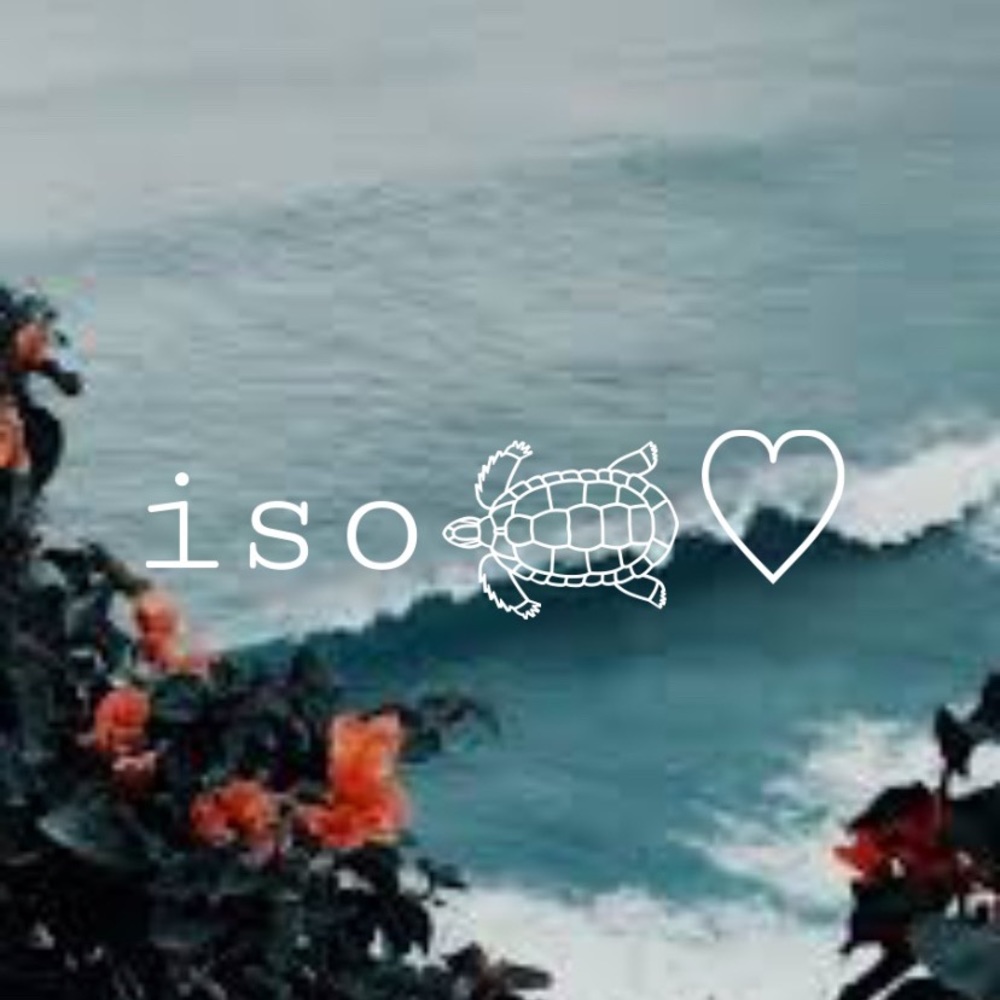 iso! msg me!